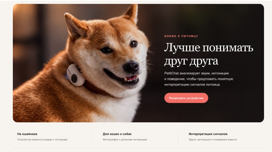 Собака с PettiChat на ошейнике