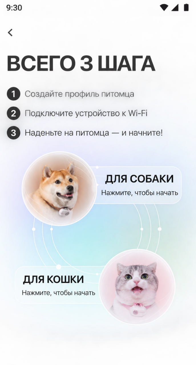 Экран приложения PettiChat: три шага подключения и выбор питомца — собаки или кошки
